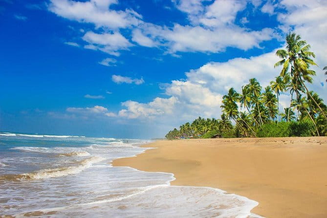 Colombo (CMB) Airport to Kandy City Private Transfer - Service quality and safety: what the best reports reveal