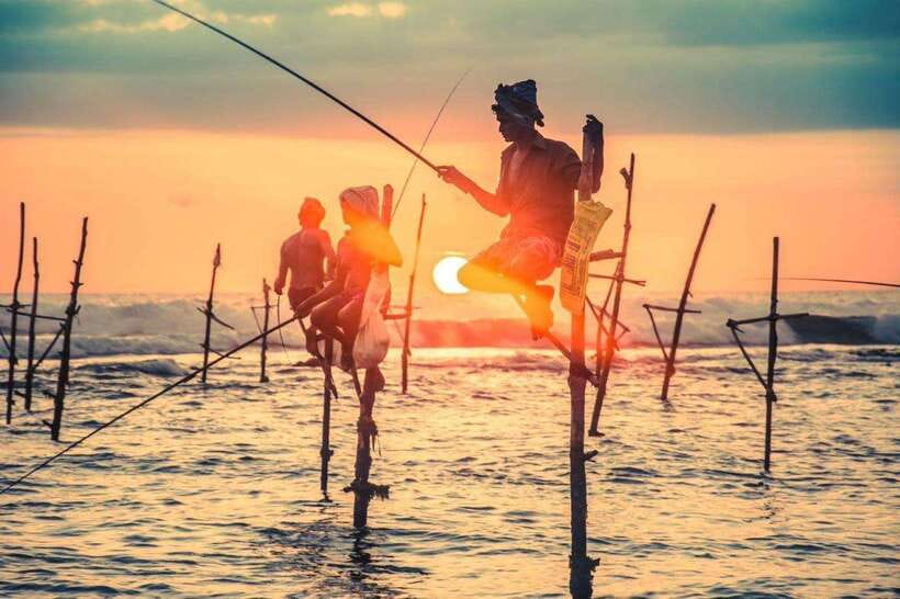 Colombo-Galle Fort, Boat Safari, Turtles, Amazing Group Tour - Key points worth knowing before you go