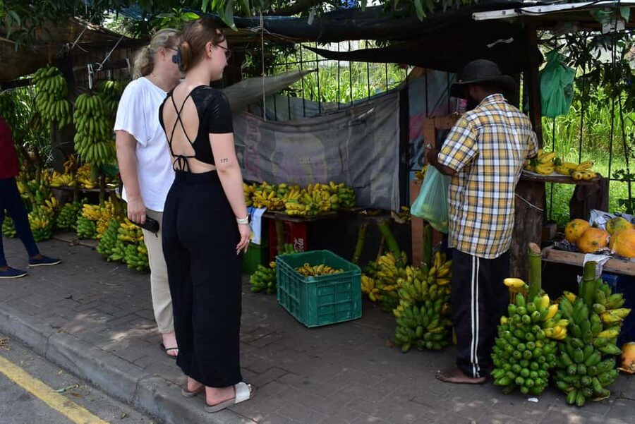 Colombo: HALF A DAY TOUR FROM NEGOMBO by car with Guiding - FAQ