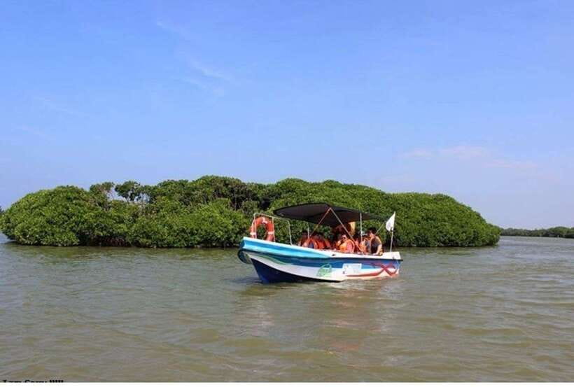 Colombo/Negombo: Muthurajawela & Dutch Canal Boat Adventure - The wetland boat cruise: why the scenery feels different on water