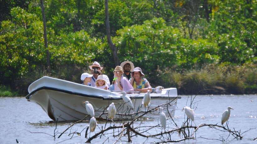 Colombo/Negombo: Muthurajawela & Dutch Canal Boat Adventure - Price and value: why $85 can make sense for this route