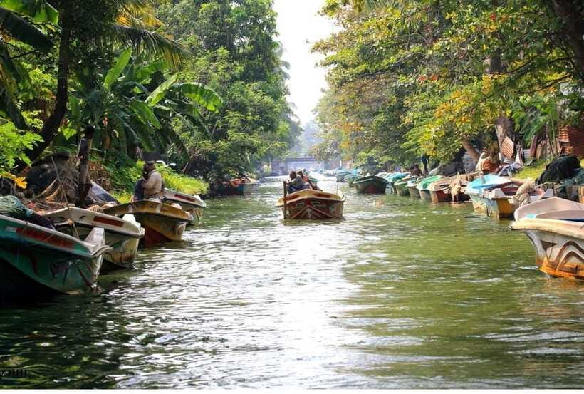 Colombo/Negombo: Muthurajawela & Dutch Canal Boat Adventure - Should you book this Colombo and Negombo canal and wetland boat day?