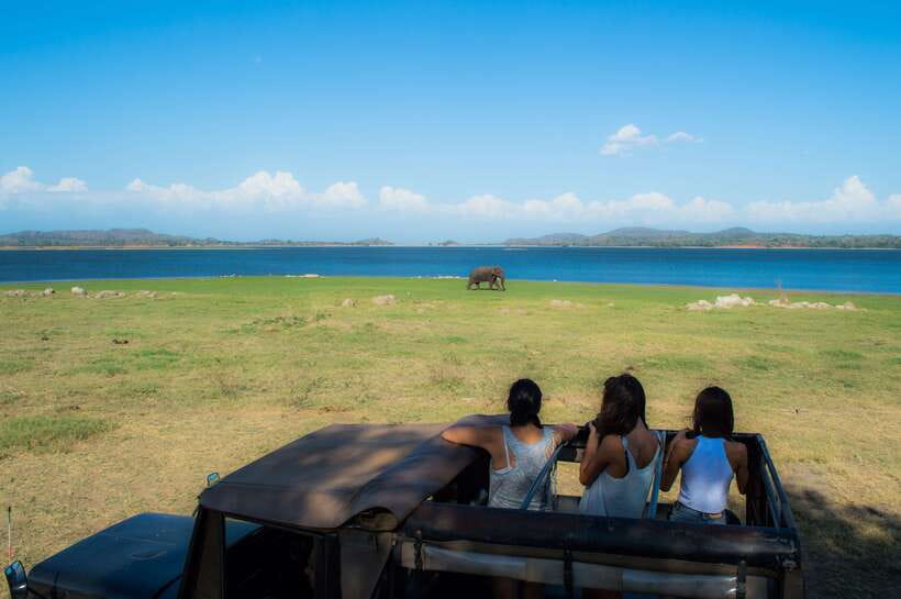 Colombo/Negombo: Sigiriya, Dambulla, and Minneriya Safari - Who this tour fits best (and who might feel annoyed)