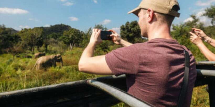 Colombo/Negombo to Sigiriya, Dambulla & Jeep Safari Day Tour - Timing, Sunset Strategy, and Why a Calm Guide Helps