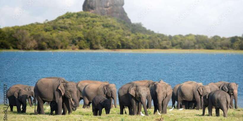 Colombo/Negombo to Sigiriya, Dambulla & Jeep Safari Day Tour - UNESCO Dambulla Cave Temple: Five Caves, 2,000 Years of Detail