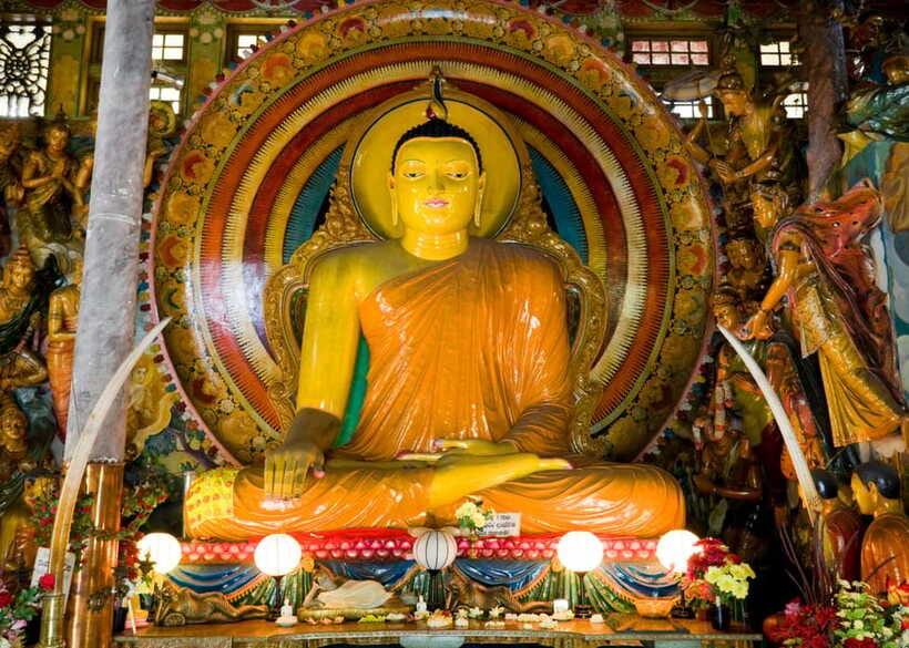 Colombo: One Day Private City Tour With Gangaramaya Temple - Group size, guide quality, and why skip-the-line matters