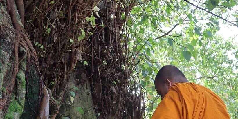 Colombo Port Shore Excursions Colombo City & Kalaniya Temple - Kelaniya Temple: the spiritual anchor of the day