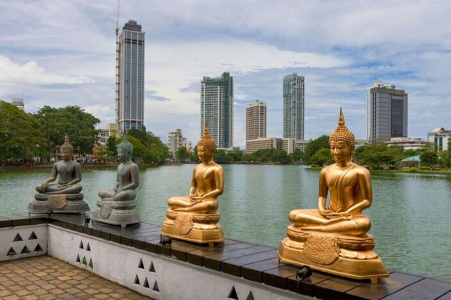 Colombo: Private custom tour with a local guide - Guide quality, language options, and the pacing question