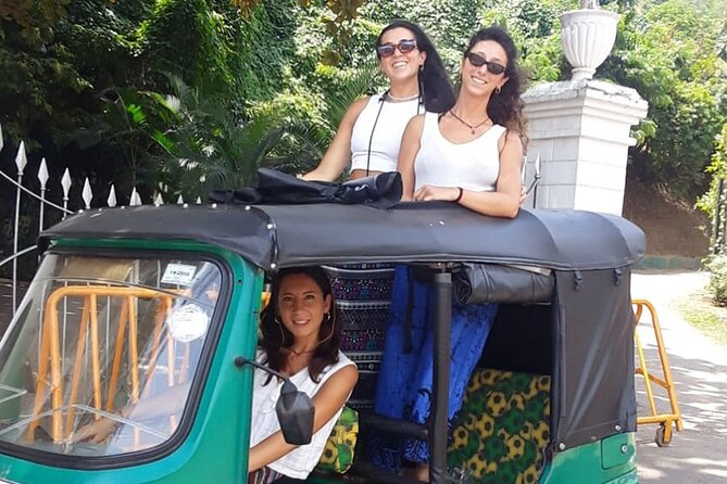 Colombo Private Tuk-Tuk City Tour with All Entry Fees Included - Gangaramaya Temple to the seaside promenade: the stop-by-stop vibe