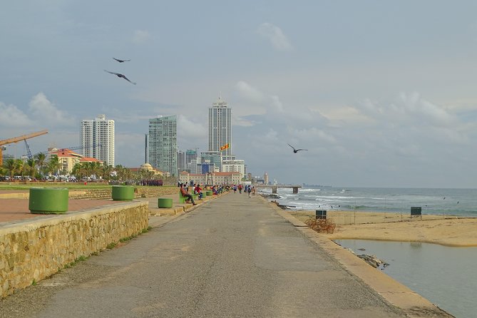 Colombo Shore Excursion from Cruise Port – Private Small Group - What you actually do in Colombo on a half-day shore outing