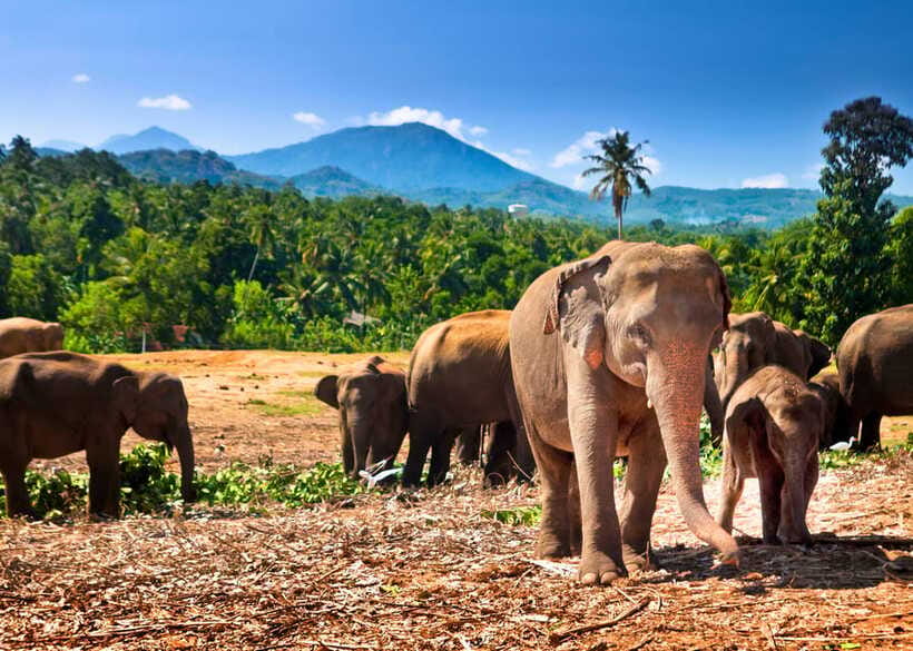 Colombo: Sri Lanka Cultural Triangle Hotspots 2-Day Tour - Who this tour fits best, and who should think twice