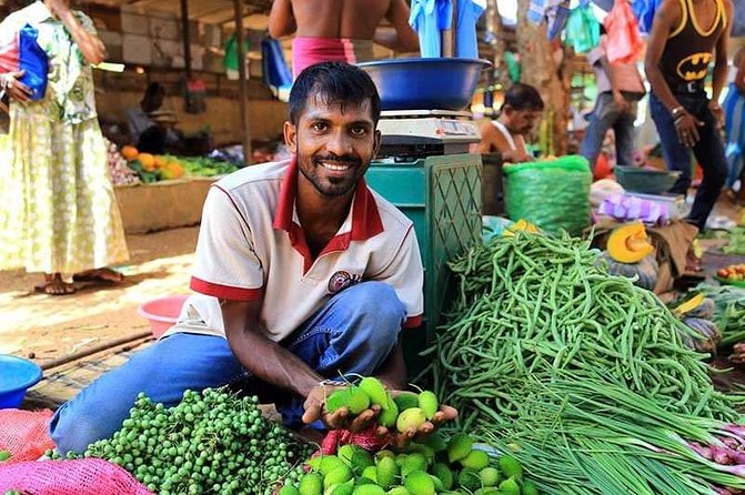 Colombo STREET Food with private guide city tour(All - included ) - Key Highlights to Know Before You Go