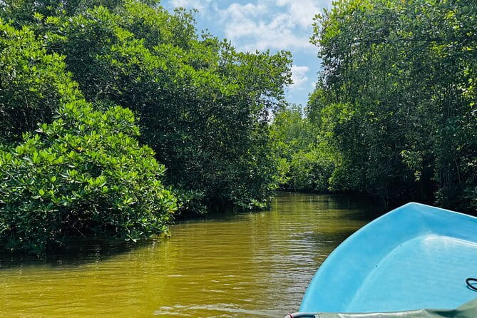 Colombo to Galle All Inclusive Private Day Tour - Why this Colombo to Galle day tour works so well