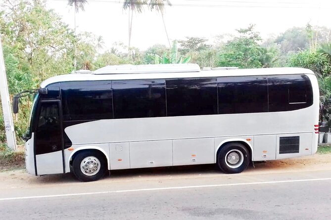 Colombo to Kandy Bus (Reserved Seats) - Air Conditioned - Where You Board: World Trade Center East Tower (4:30 pm)