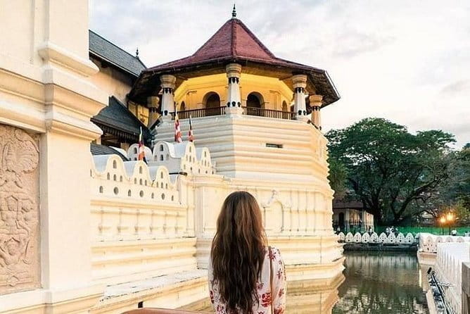 Colombo to Kandy Shuttle with Dambulla Sightseeing Tour - What to pack and how to make the day easier
