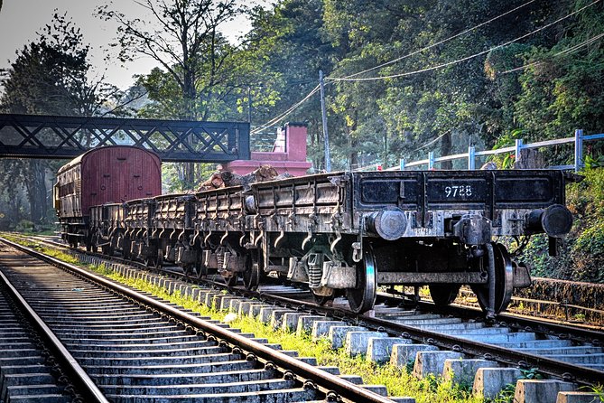 Colombo to Kandy Train Tickets (Reserved Seats) - The scenery you get, tea estates and jungle edges