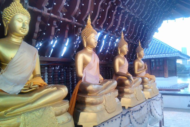 Colombo Walking Tour With Ayurvedic Learning - Where it starts: Port of Colombo meeting point and pickup