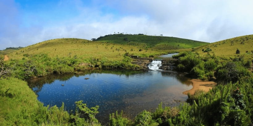 Comprehensive Excursion: Horton Plains and Pedro Tea Factory - World’s End viewpoint: stunning in clear weather, humbling in fog