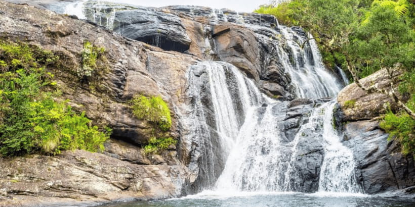 Comprehensive Excursion: Horton Plains and Pedro Tea Factory - Price and logistics: what $125 really covers for a private day