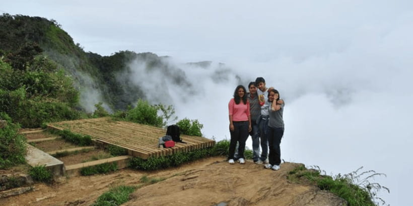 Comprehensive Excursion: Horton Plains and Pedro Tea Factory - Horton Plains National Park: guided wildlife spotting plus a real hike