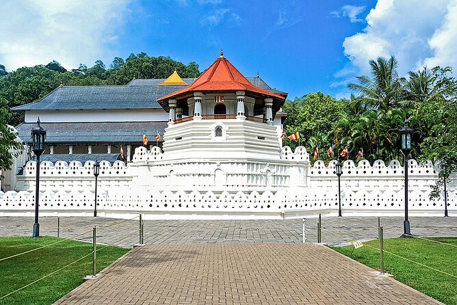 Customized 11-Day Flexible Sri Lanka Tour with Private Car - Negombo fish market and Dutch Canal, a local intro that feels real