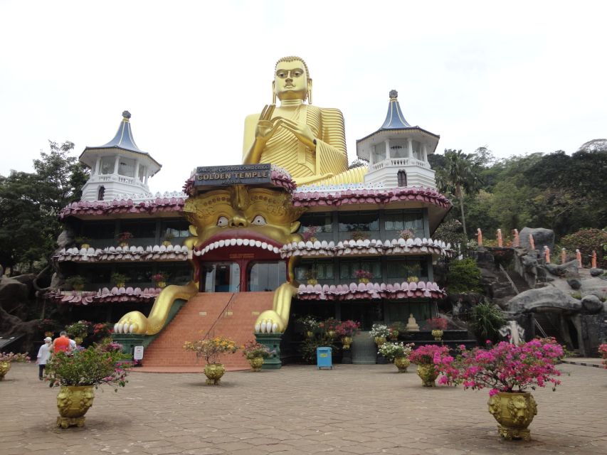 Dambulla: Cave Temple and Village All-Inclusive Tour - Who should book this Dambulla Cave and Village tour