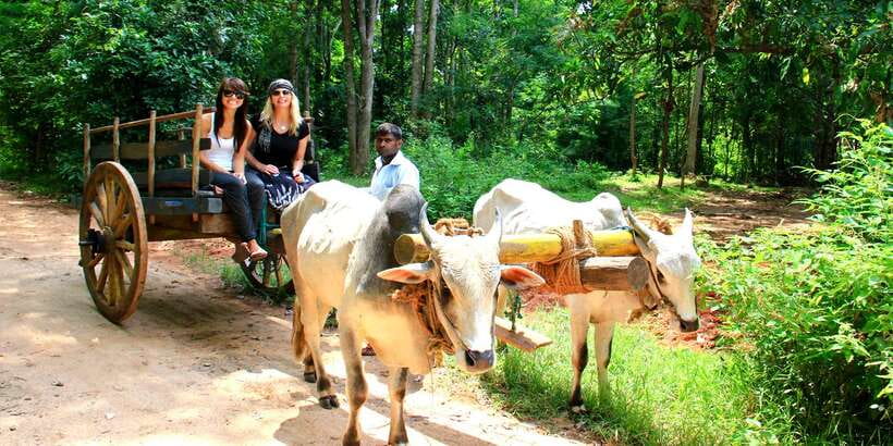 Dambulla: Cave Temple and Village All-Inclusive Tour - FAQ