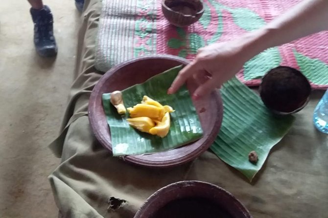 Dambulla & Sigiriya Day Tour from Colombo / Negombo with Lunch - What the Day Feels Like in Real Terms (And Who It Fits Best)
