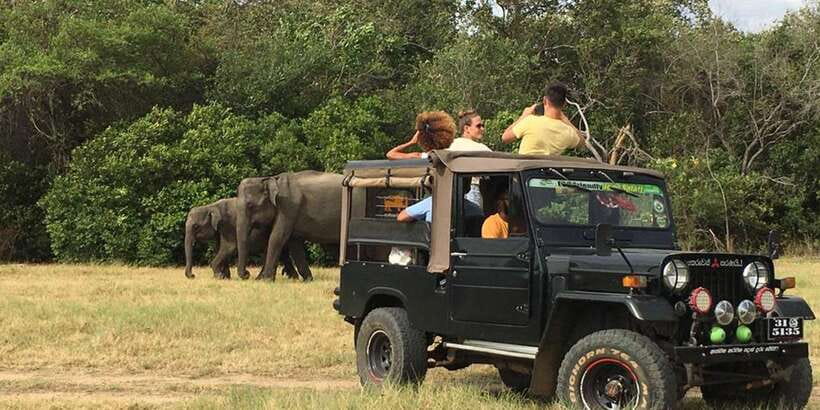 Dambulla/Sigiriya: Polonnaruwa & Minneriya Park Jeep Safari - Final Verdict: Should You Book This One-Day Safari and Polonnaruwa Tour?