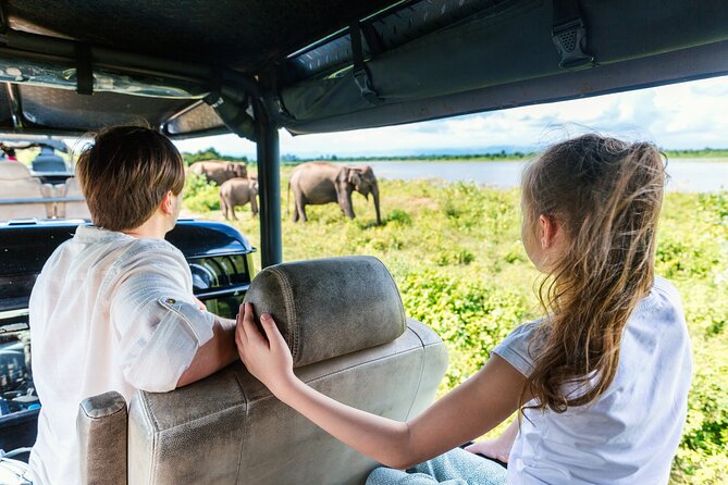 Day Excursion at Udawalawe National Park From Galle - Why Udawalawe From Galle Feels Like A Proper Safari Day
