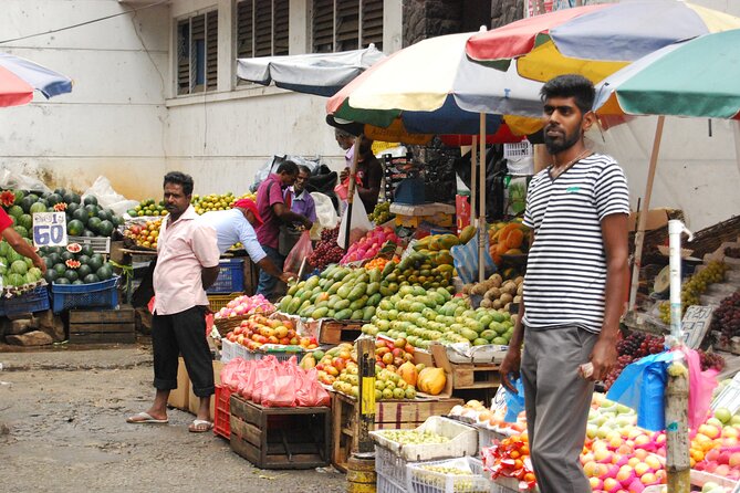 Day out to Galle[Stilt Fishing. Turtle watching.Cinnamon Farm] - Galle Dutch Fort: Dutch walls, English renovations, and good wandering time