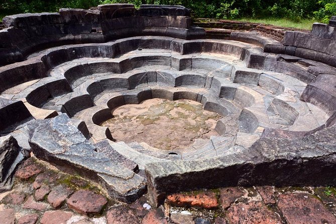 Day Tour from Dambulla to Sigiriya or Pidurangala & Polonnaruwa - The bonus jungle stopover: elephants in the wild or a tuk-tuk lesson