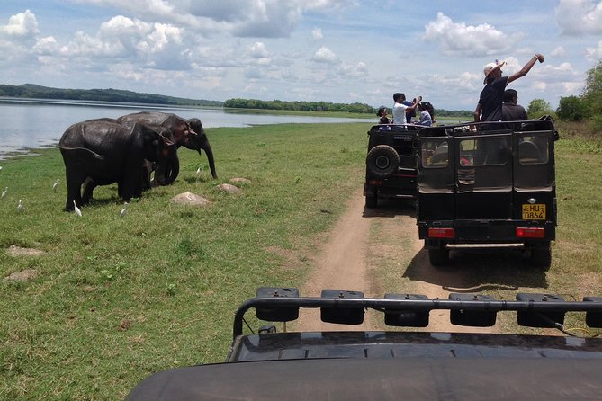 Day Tour from kandy to Sigiriya, Dambulla & National Park safari. - Key highlights you should know