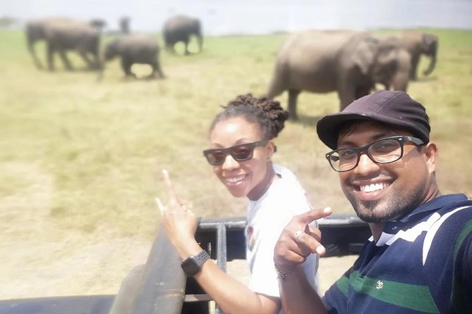 Day Tour from kandy to Sigiriya, Dambulla & National Park safari. - Minneriya National Park safari: elephants, heat, and jeep math