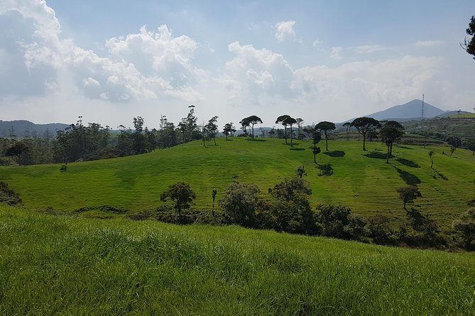 Day Tour of Nuwara Eliya - Lunch is on you, so plan for a simple meal