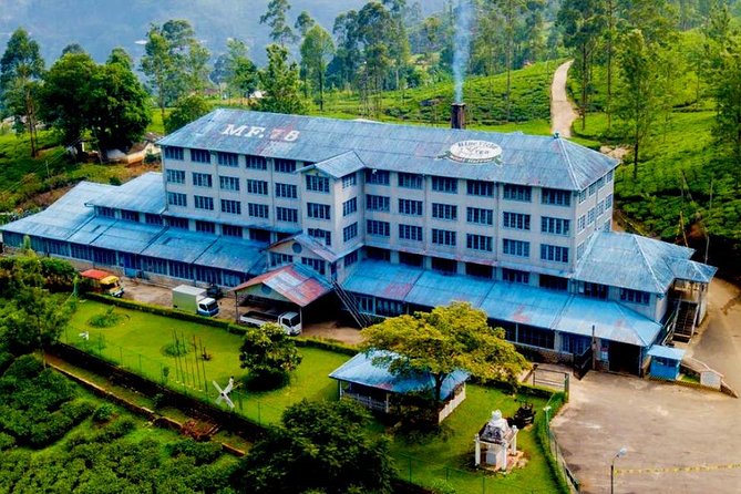 Day Tour of Nuwara Eliya - Price and value: what $45 really buys
