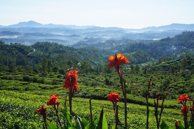 Day Tour of Nuwara Eliya - Weather reality in the hills: pack for rain and cool air