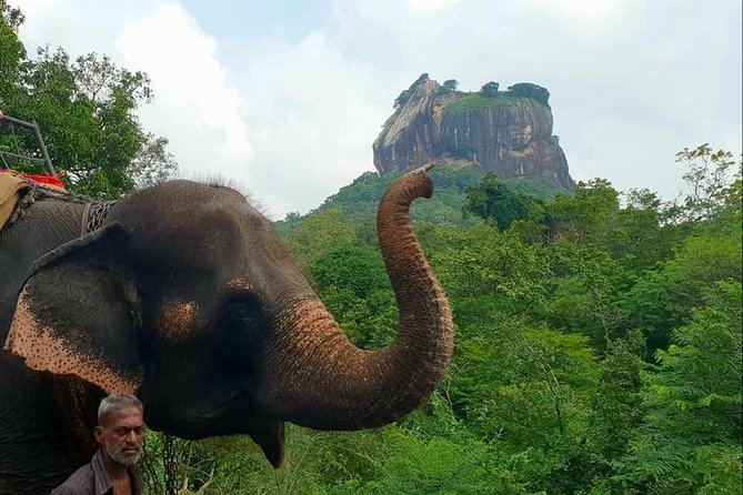 Day Tour of Sigiriya - Hiriwadunna village life: bullock cart, paddy walk, and a village-home lunch