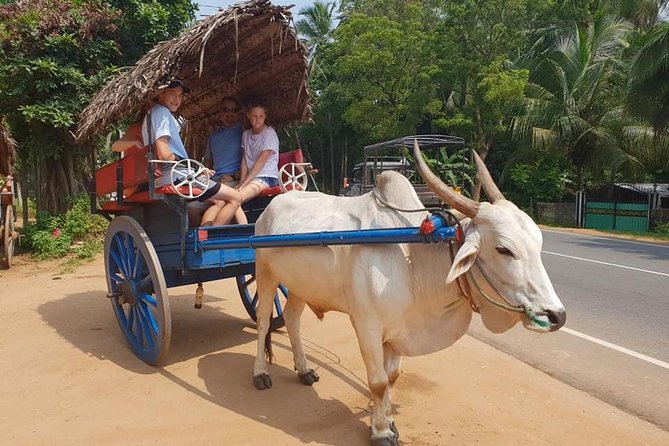 Day Tour of Sigiriya - Dambulla Cave Temples as the morning anchor