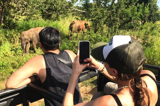 Day Tour to Dambulla, Sigiriya and Safari from Kandy (Group Tour) - Dambulla Cave Temple: five caves and the ticket moment