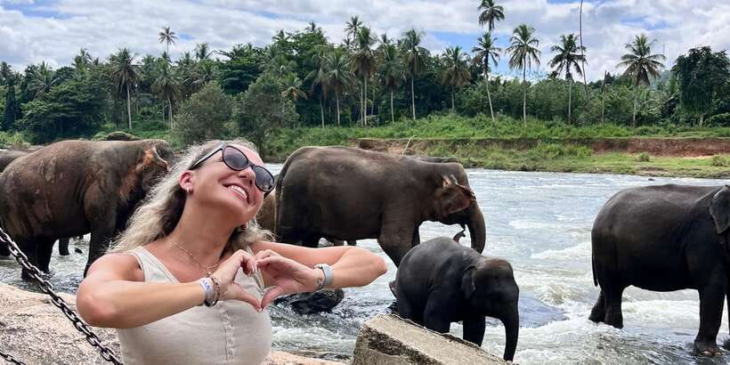 Day Tour to Elephant Orphanage / spice garden - The quick restaurant break, tea and snacks without dragging the day