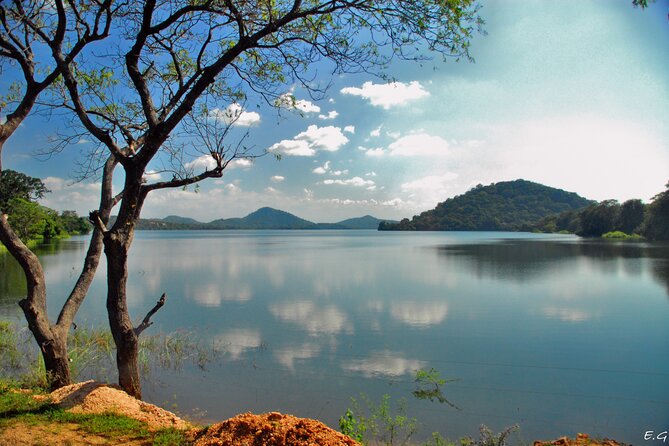 Day tour to Minneriya National Park,Sigiriya & Dambulla from Kandy - Service quality: when the guide makes or breaks the day