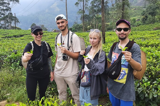Day tour to Nuwareeliya (Little England) from Kandy - Bluefield Tea Factory in Ramboda: Where the Tea Story Gets Real