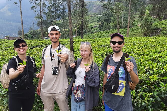 Day tour to Nuwareeliya (Little England) from Kandy - Gregory Lake: The Small Ticket Stop With Good Timing