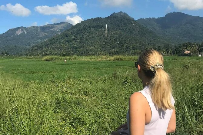 Day tour to Sigiriya & Dambulla from Kandy - Price and value: what $25.50 gets you, plus the real total