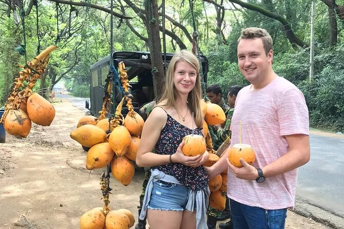 Day tour to Sigiriya & Dambulla from Kandy - Guide vs driver: how to make sure this feels like a tour