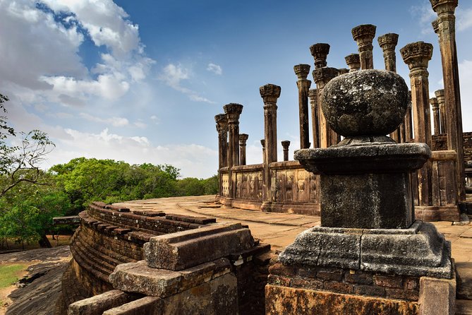 Day tour to Sigiriya,Dambulla & Polannaruwa (3 word heritage places) from Kandy - Private guide energy: drivers who handle timing, tickets, and wildlife