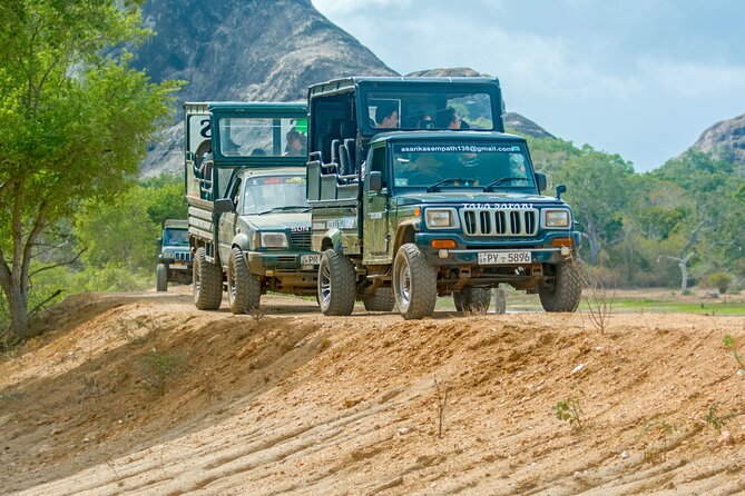 Day Tour to Wilpattu National Park from Colombo - Key things I’d zero in on