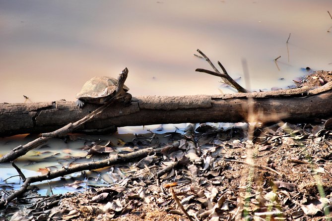 Day Tour to Wilpattu National Park from Colombo - Entering Wilpattu, lakes first and a targeted animal wish list