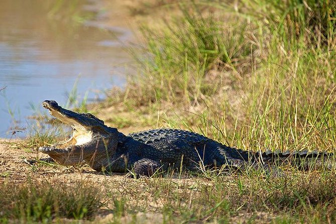 Day Tour to Wilpattu National Park from Colombo - Your private guide, how the commentary helps (and how to get the most out of it)